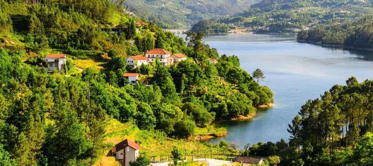 Casa Da Figueira Villa Póvoa de Lanhoso Екстериор снимка